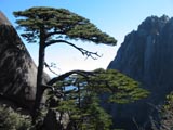 huangshan tour