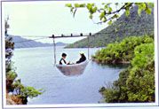 黄山旅游